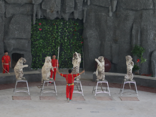 杭州野生动物世界