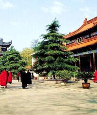 景点图片