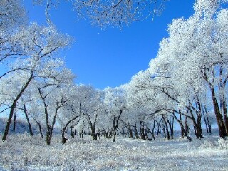 北山滑雪场