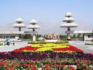 大武口森林公园