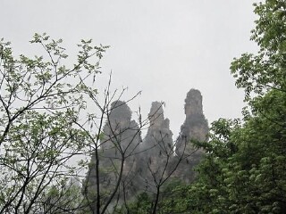 五指山国家级自然保护区