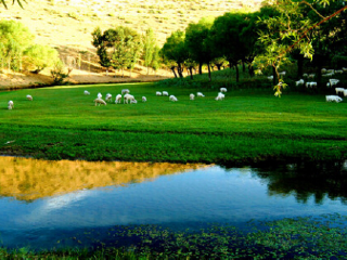 萨拉乌苏旅游区