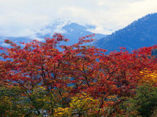 青龙满族自治县