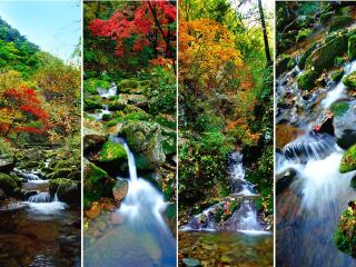 岗山国家森林公园