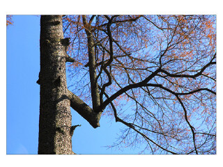 杭州临安天目山冰川大峡谷