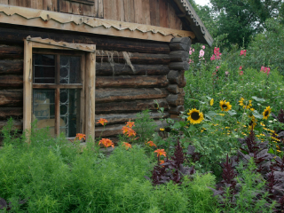 乌斯季卡缅诺戈尔斯克