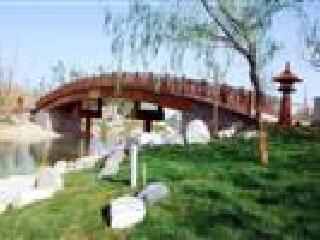 曲江池遗址公园观光小火车