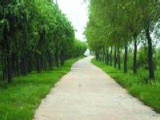 大兴融青生态园葡萄采摘