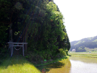 白河