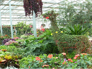 杨凌现代农业创新园