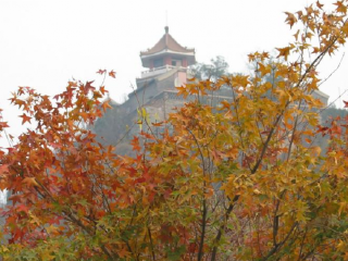 百望山森林公园