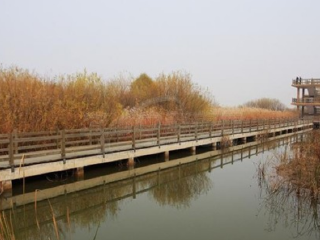 黄河入海口生态农业观光园