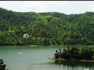 岩泉自然保护区