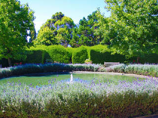 雅思迷宫及薰衣草花园