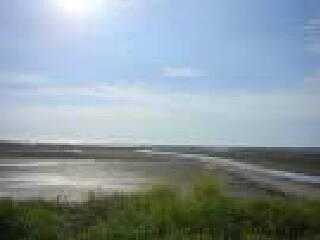 大肚溪口野生动物保护区