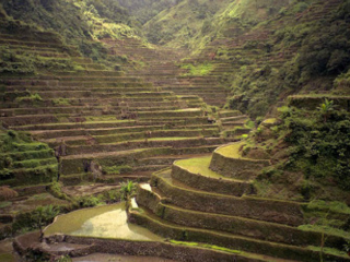 巴纳韦水稻梯田