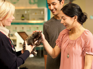 希尔斯维尔野生动物保护区