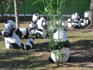 秦岭野生动物园