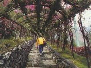 龙谷天然游乐区