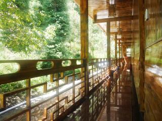 海螺沟木林森村温泉酒店温泉