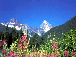 勒韦斯托克山国家公园