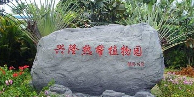 兴隆热带植物园