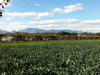 北京芦西园体验观光园