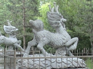 水师森林公园