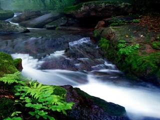岗山国家森林公园