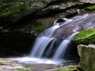 五龙洞国家森林公园