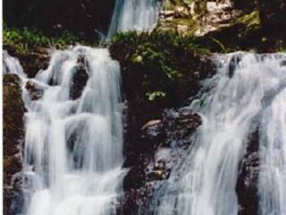 九连山森林公园