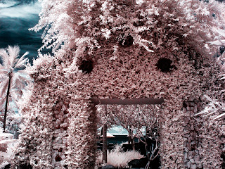 西努沙登加拉省