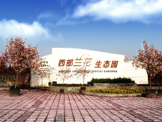 西部兰花生态园