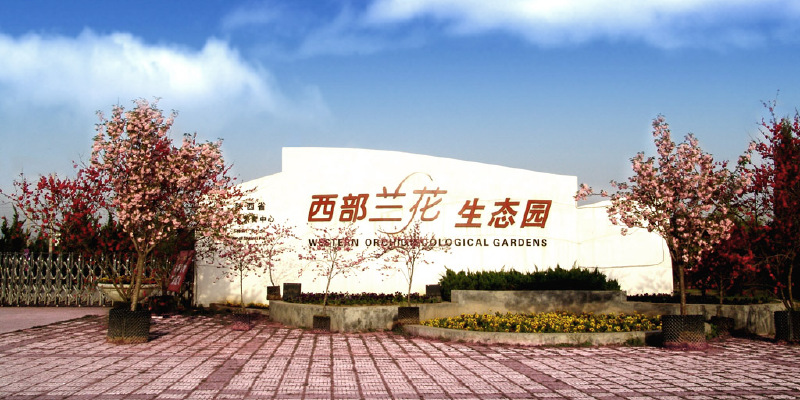 产品图1