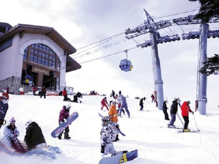 葱仁谷滑雪场