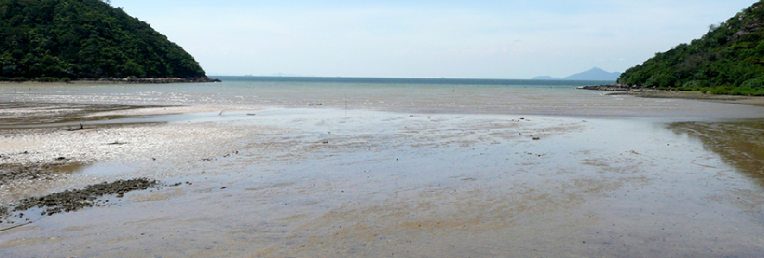 长沙海滩有1张图位于黄海之滨的如东县长沙海滩,是南通踩文蛤之旅基地