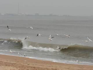 海阳市