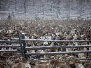 汉特-曼西自治区