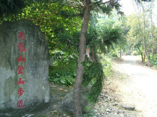 古坑乡荷苞山咖啡游憩区