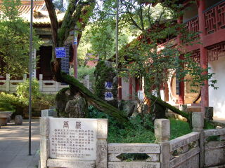 昆明黑龙潭风景区