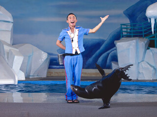 武汉海昌极地海洋公园