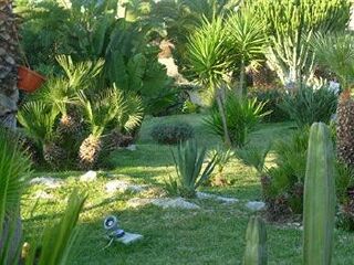 保罗奥尔西地区考古博物馆