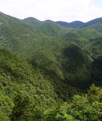 景点图片