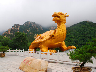 招远罗山国家森林公园