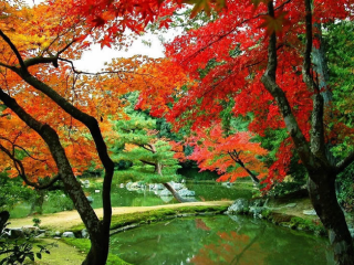 好川古文化遗址