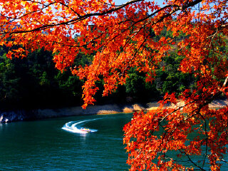 溪流河国家森林公园