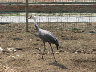 花果山神秘谷风景区