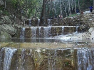 凤凰谷森林公园