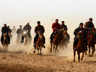上海庙马兰花草原