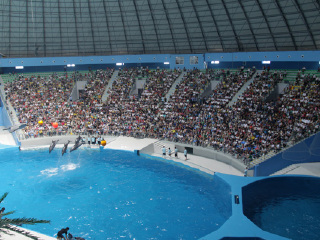 泉城极地海洋世界